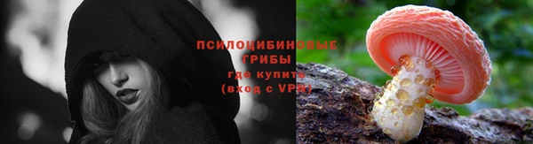 ГАЛЛЮЦИНОГЕННЫЕ ГРИБЫ Верхний Тагил