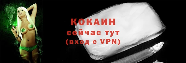МДПВ Бородино