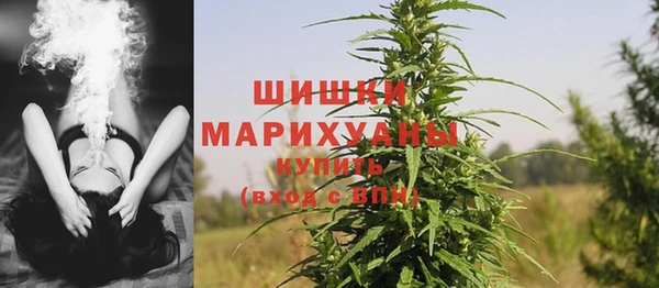 ГАЛЛЮЦИНОГЕННЫЕ ГРИБЫ Верхний Тагил